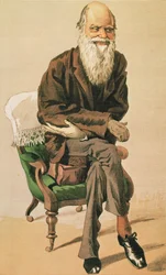 Männer des Tages, Nr. 33, Charles Darwin, Karikatur aus Vanity Fair